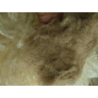 Uncarded Caramel Core fibre for stuffing and felting