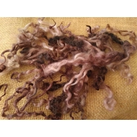 Twilight teeswater and wensleydale wool and locks 10g (v)