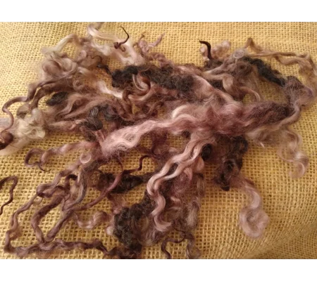 Twilight teeswater and wensleydale wool and locks 10g (v)