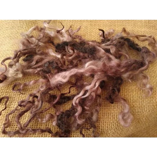 Twilight teeswater and wensleydale wool and locks 10g (v)