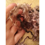 Twilight teeswater and wensleydale wool and locks 10g (v)