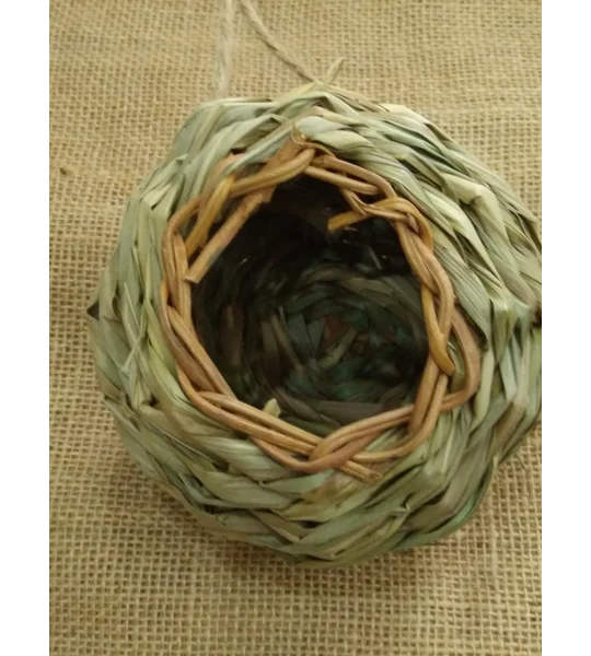 Large birds home/nest/house