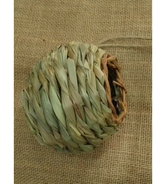 Large birds home/nest/house