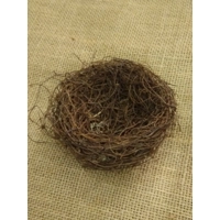 Large birds nest