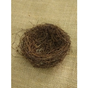 Large birds nest