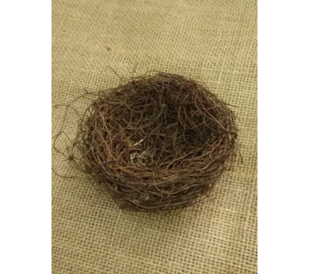 Large birds nest