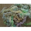 Rainbow mix teeswater loose curly wool and locks 10g