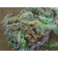 Rainbow mix teeswater loose curly wool and locks 10g