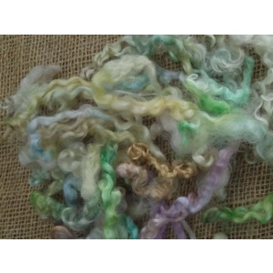 Rainbow mix teeswater loose curly wool and locks 10g
