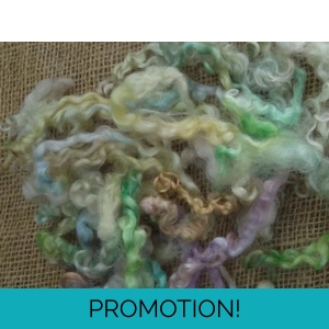 Rainbow mix teeswater loose curly wool and locks 10g