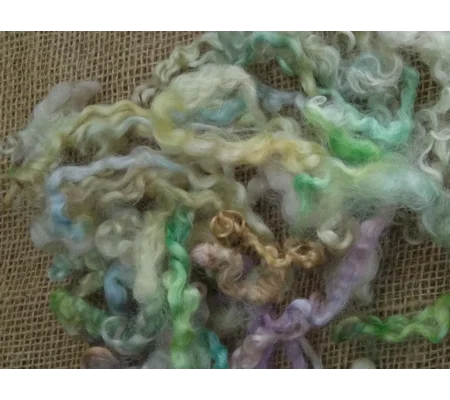 Rainbow mix teeswater loose curly wool and locks 10g