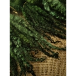 Dark Forest Wool Locks, Blue Faced Leicester x Valais Black Nose