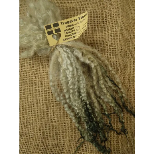 Forest Sprite Wensleydale curly wool locks,10g