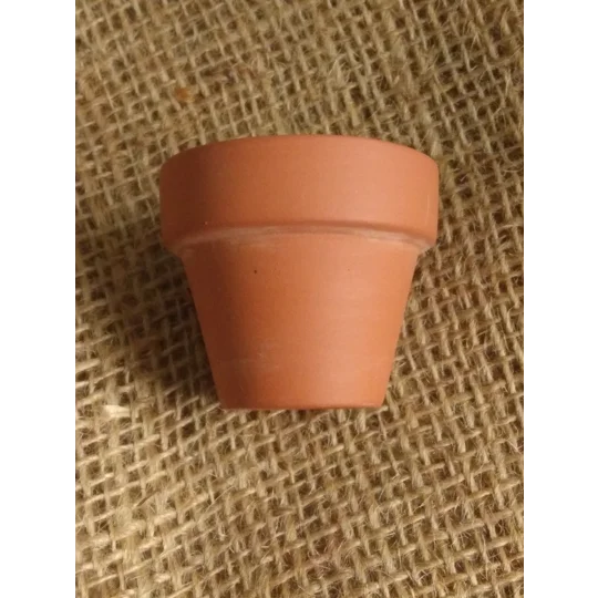 Miniature Plant Pot