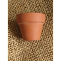 Miniature Plant Pot