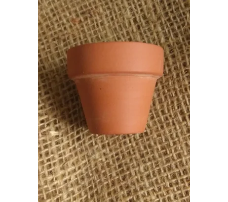 Miniature Plant Pot