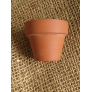 Miniature plant pots