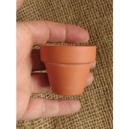 Miniature Plant Pot