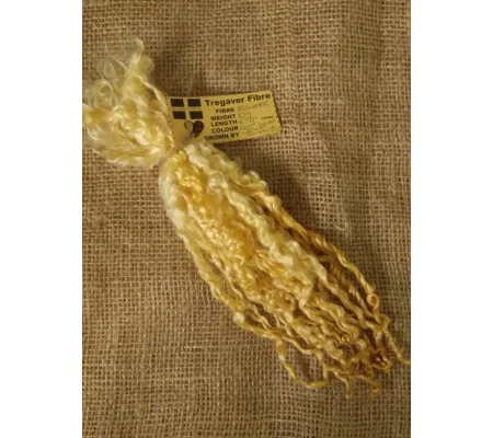 Light Golden Yellow- 10g bunch teeswater locks