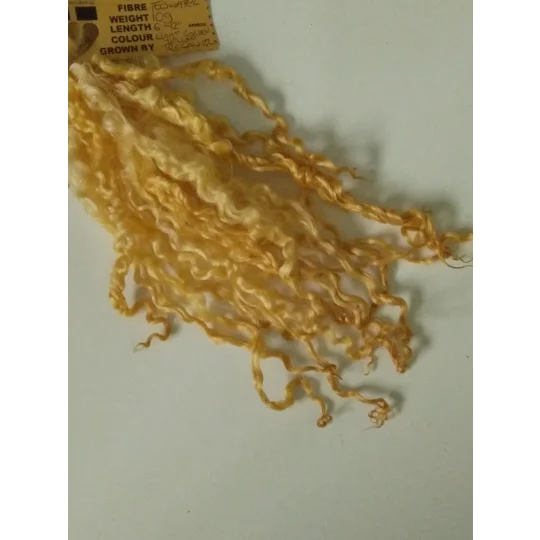 Light Golden Yellow- 10g bunch teeswater locks