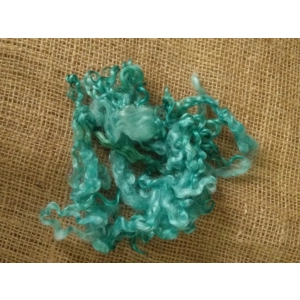 Aqua Teal Teeswater Curly wool, 10g (v)