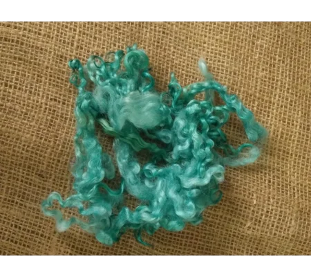 Aqua Teal Teeswater Curly wool, 10g (v)