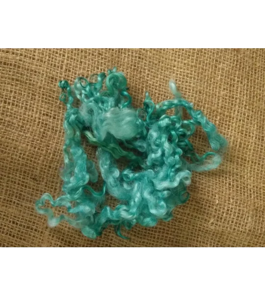 Aqua Teal Teeswater Curly wool, 10g (v)