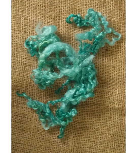 Aqua Teal Teeswater Curly wool, 10g (v)