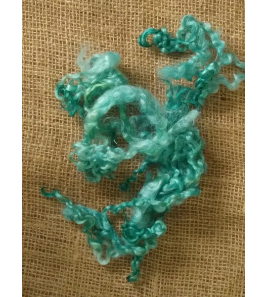 Aqua Teal Teeswater Curly wool, 10g (v)
