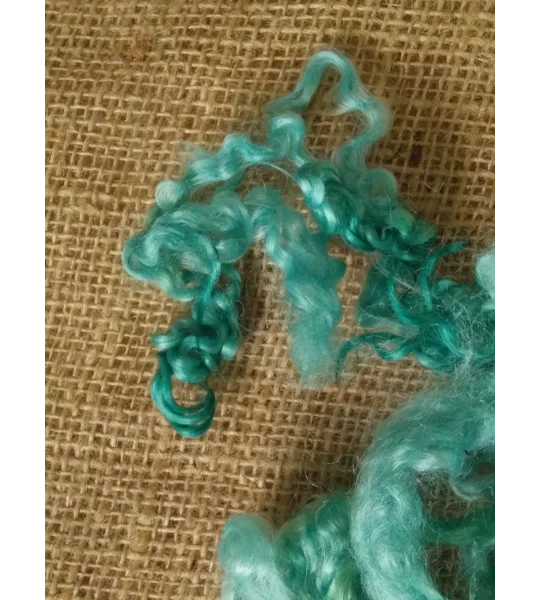 Aqua Teal Teeswater Curly wool, 10g (v)