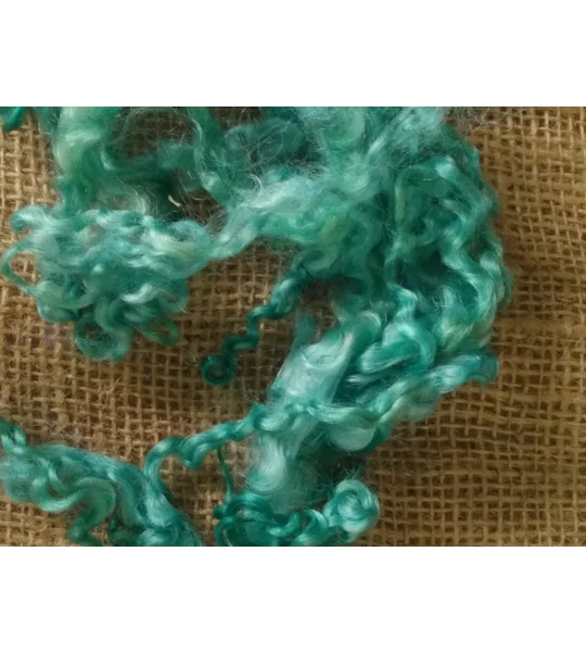 Aqua Teal Teeswater Curly wool, 10g (v)