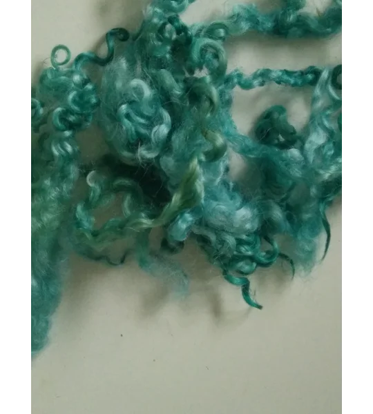 Aqua Teal Teeswater Curly wool, 10g (v)