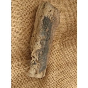 Driftwood / Drift Wood single piece number 25