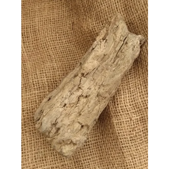 Driftwood / Drift Wood single piece number 25