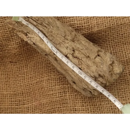 Driftwood / Drift Wood single piece number 25