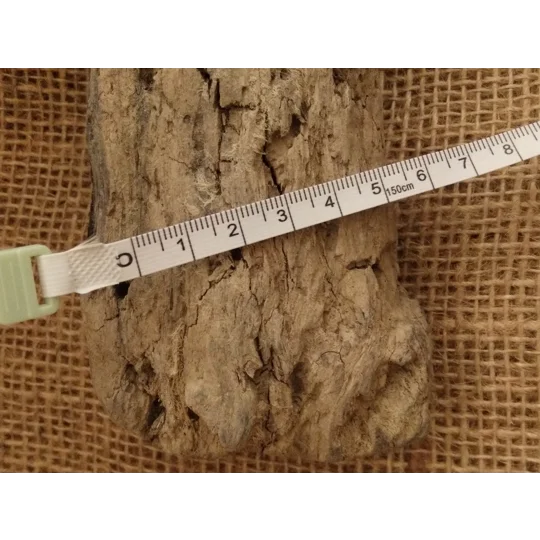 Driftwood / Drift Wood single piece number 25