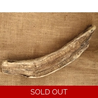 Single Driftwood piece 3 - beautiful drift wood for crafting