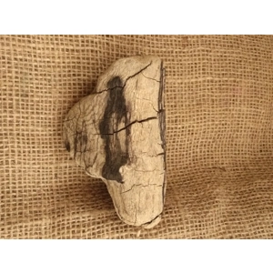 Driftwood / Drift Wood single piece number 26