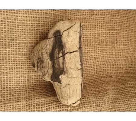Driftwood / Drift Wood single piece number 26