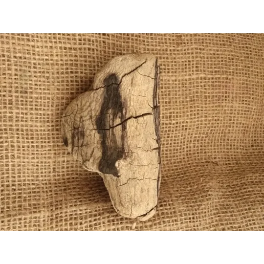 Driftwood / Drift Wood single piece number 26