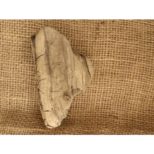 Driftwood / Drift Wood single piece number 26