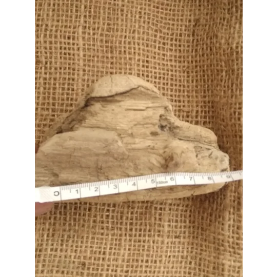 Driftwood / Drift Wood single piece number 26
