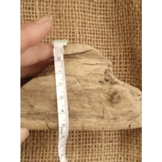 Driftwood / Drift Wood single piece number 26