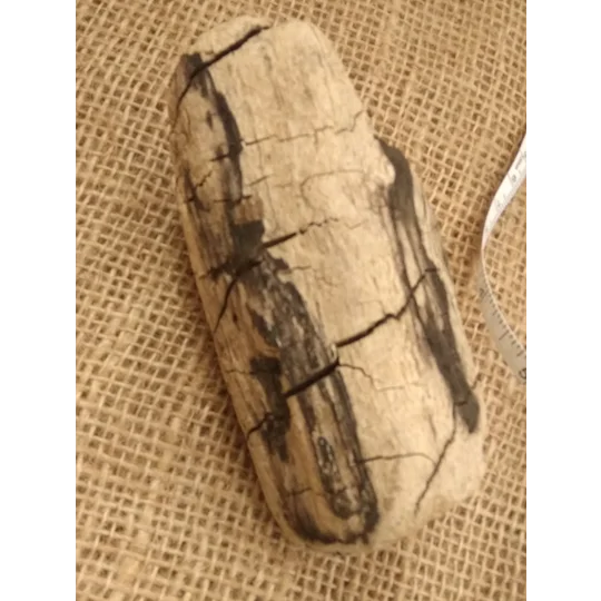 Driftwood / Drift Wood single piece number 26