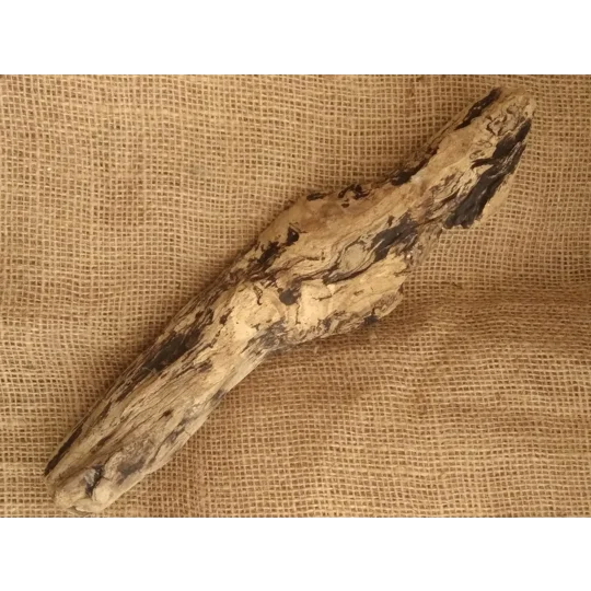 Single Driftwood / Drift wood piece 2