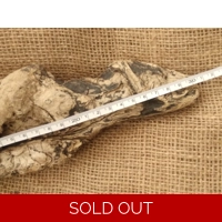 Single Driftwood / Drift wood piece 2