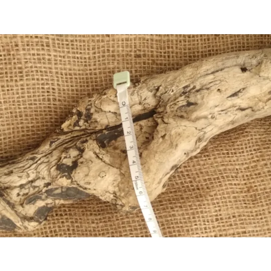Single Driftwood / Drift wood piece 2