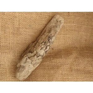 Driftwood / Drift Wood single piece number 28