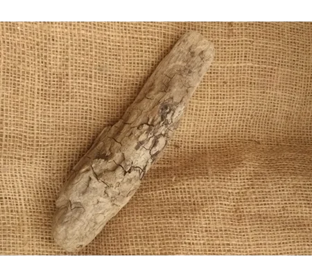 Driftwood / Drift Wood single piece number 28