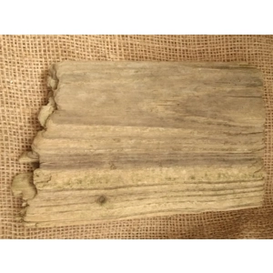 Driftwood / Drift Wood single piece number 11